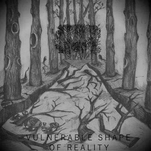 Vulnerable Shape of Reality